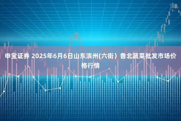 申宝证券 2025年6月6日山东滨州(六街）鲁北蔬菜批发市场价格行情